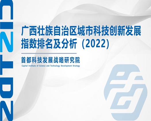 嫩B被C免费在线视频【成果发布】广西壮族自治区城市科技创新发展指数排名及分析（2022）